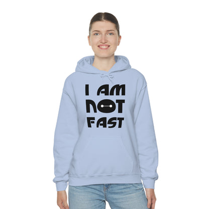 i am not fast 1 Hoodie