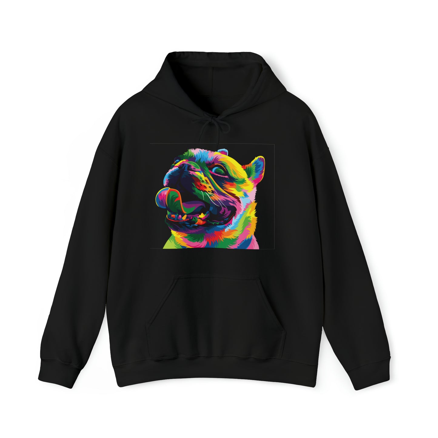 Colorful Dog Hoodie