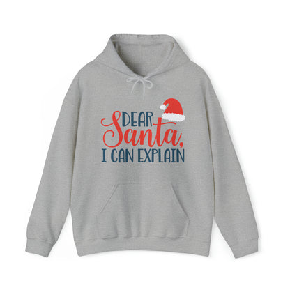 Dear Santa I Can explain Christmas Hoodie