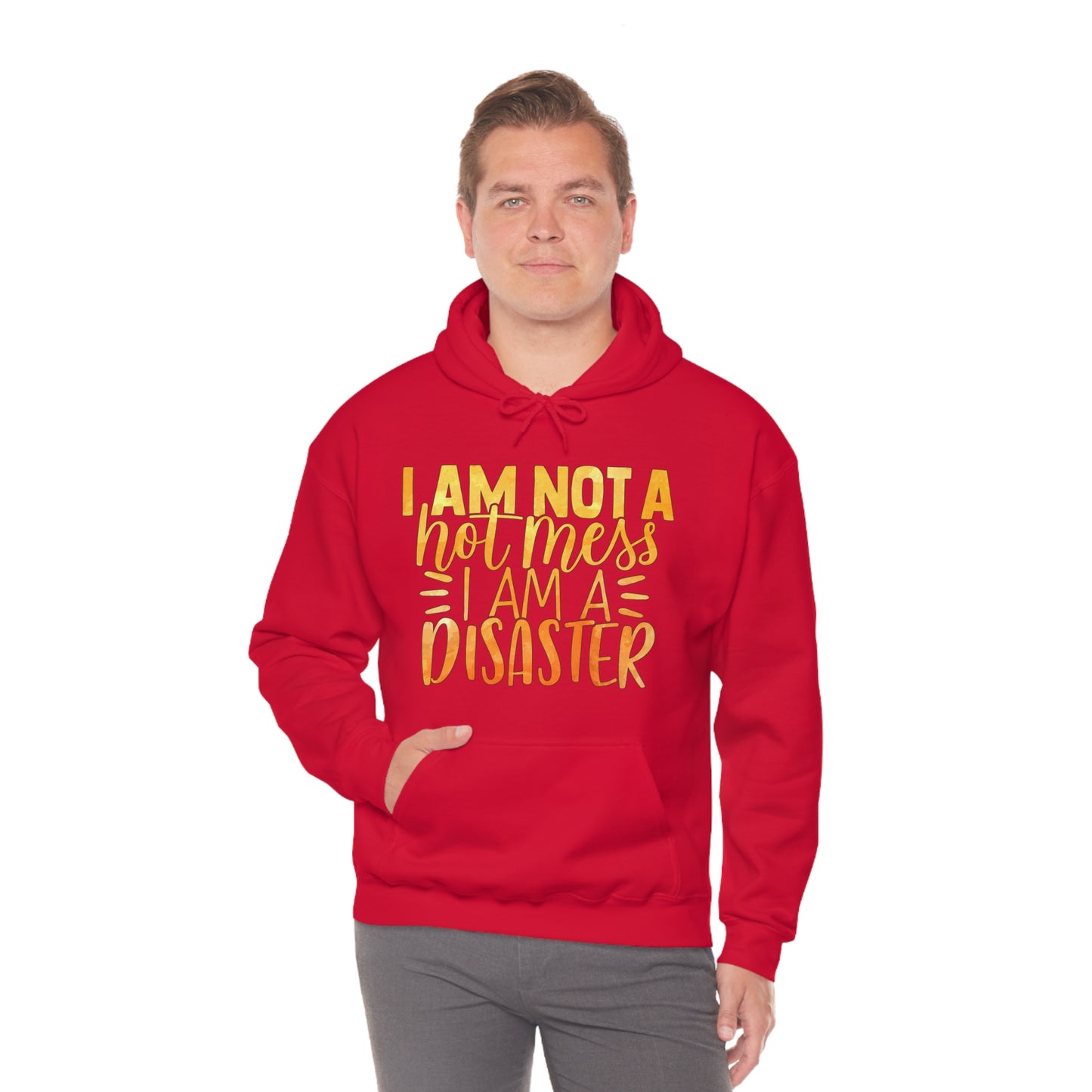 I Am Not A Hot Mess I Am A Disaster Hoodie