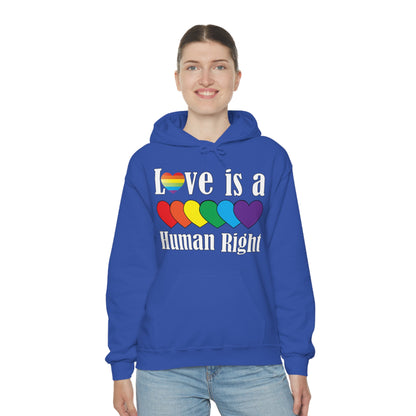 Love is a Human right Hoodie