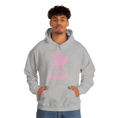 I am a Unicorn Hoodie