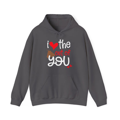 Love the Sxxx out of you Hoodie