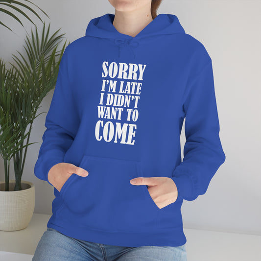 Sorry I'm late Hoodie