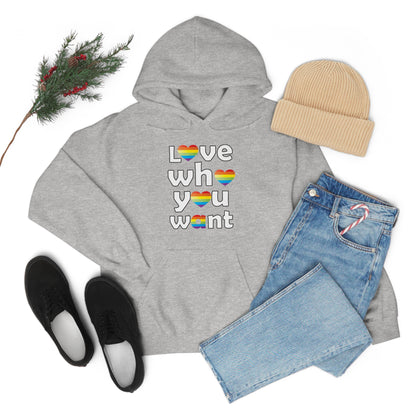 Love who you want Hoodie