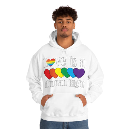 Love is a Human right Hoodie