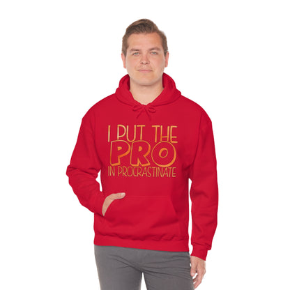 I Put the PRO in Procrastinate Hoodie