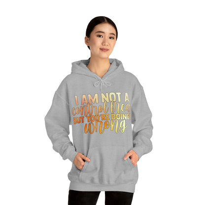 I Am Not A Control Freak But You're Doing It Wrong Hoodie