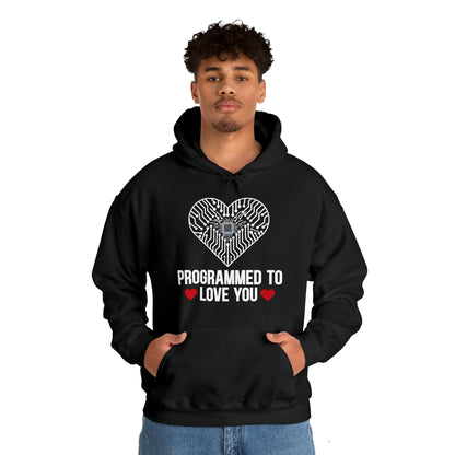 Programmed to love you Hoodie