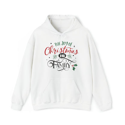 The joy of Christmas is family Hoodie