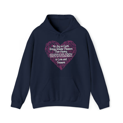 Grandchildren are a great pleasure Hoodie