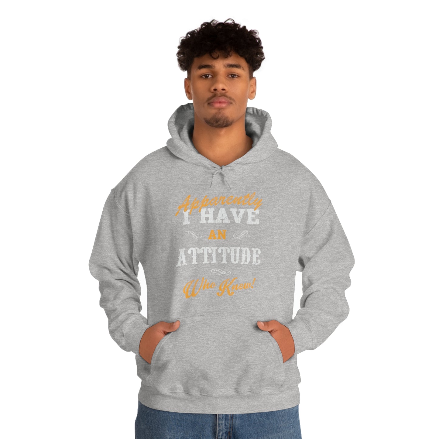 Apparently I Have an Attitude Who Knew! Hoodie