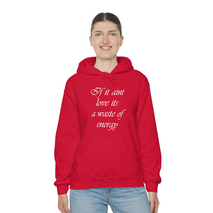 If It Aint Love Its A Waste Of Energy Hoodie