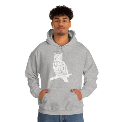 The Owls Are Not What They Seem Hoodie