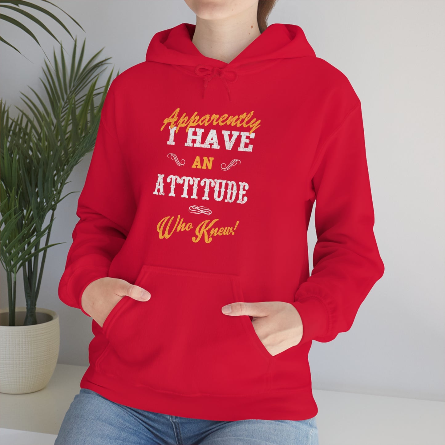 Apparently I Have an Attitude Who Knew! Hoodie