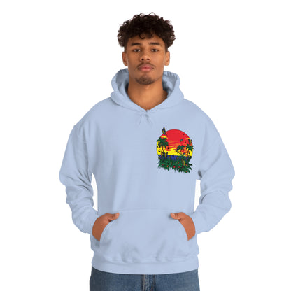 Sunset Butterfly Vibes Hoodie