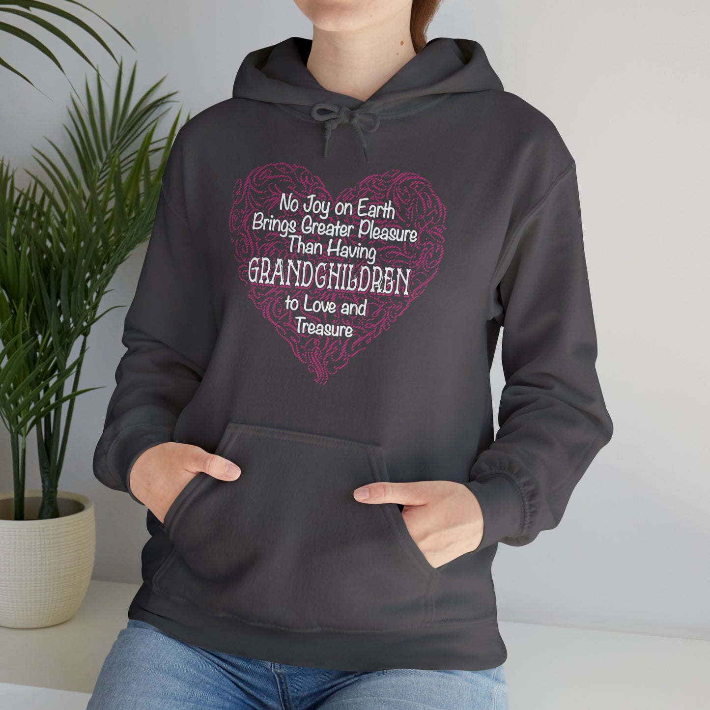 Grandchildren are a great pleasure Hoodie