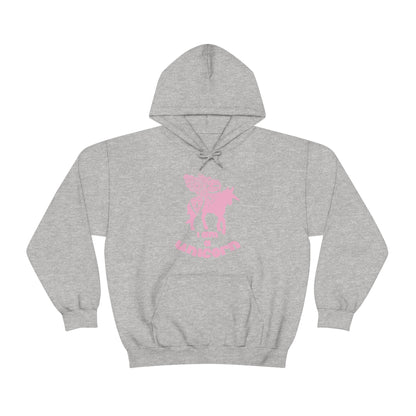 I am a Unicorn Hoodie