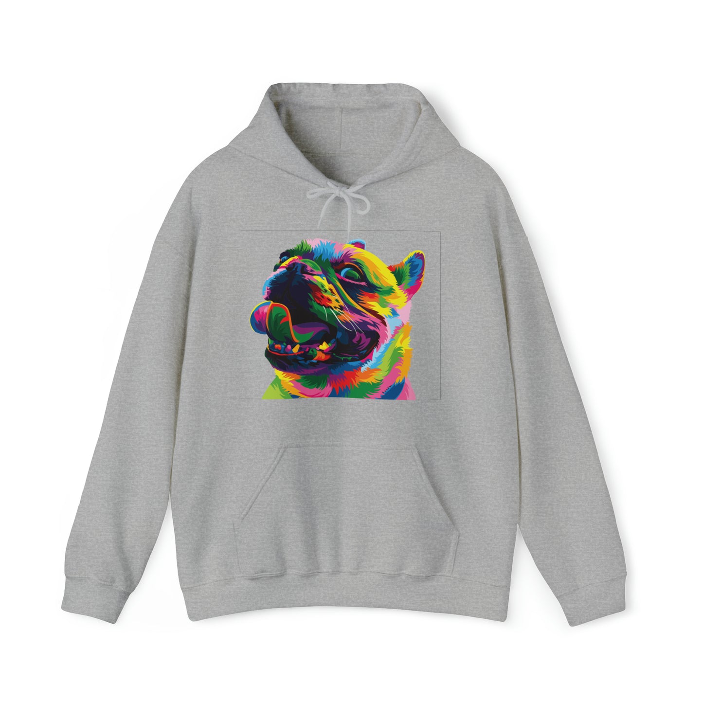 Colorful Dog Hoodie