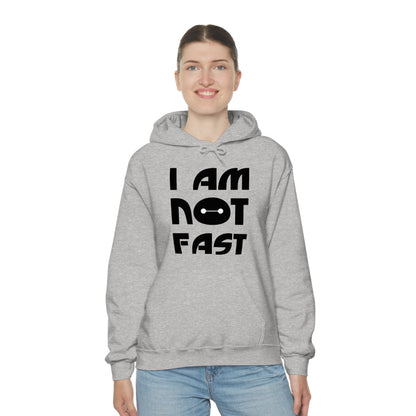 i am not fast 1 Hoodie