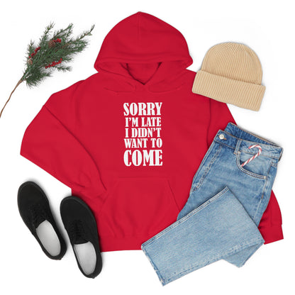 Sorry I'm late Hoodie