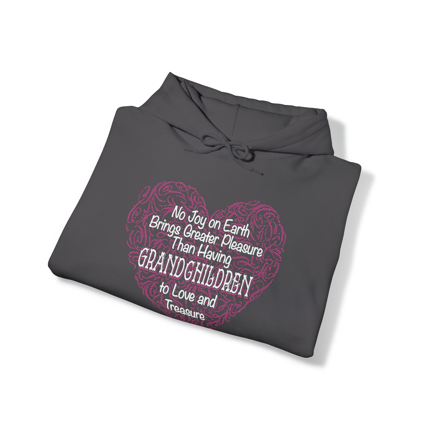 Grandchildren are a great pleasure Hoodie