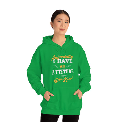 Apparently I Have an Attitude Who Knew! Hoodie