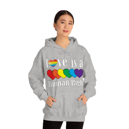 Love is a Human right Hoodie