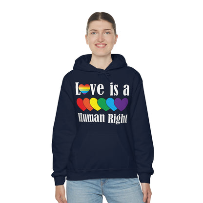 Love is a Human right Hoodie