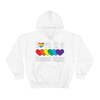 Love is a Human right Hoodie