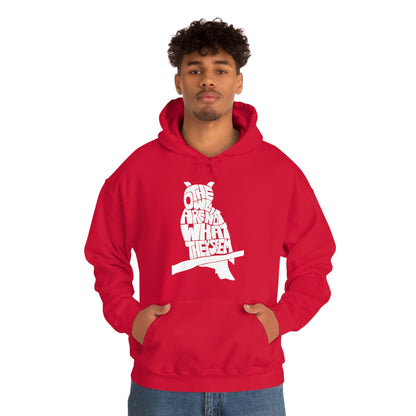 The Owls Are Not What They Seem Hoodie