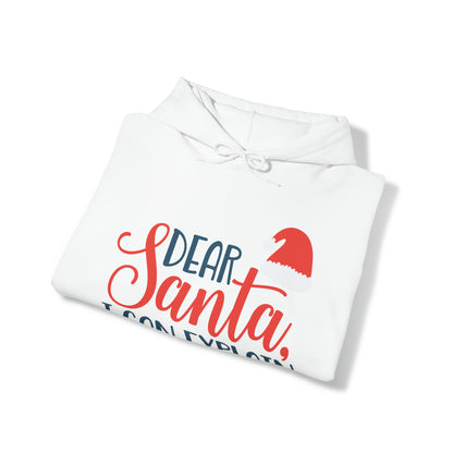 Dear Santa I Can explain Christmas Hoodie