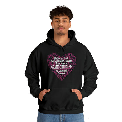 Grandchildren are a great pleasure Hoodie