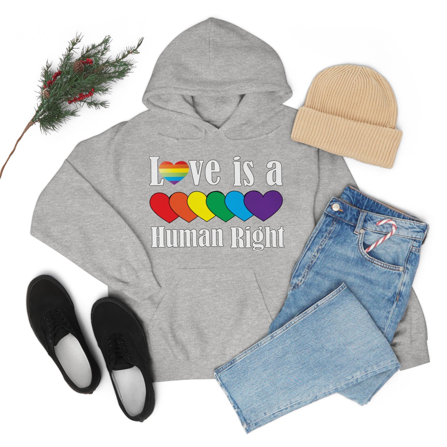 Love is a Human right Hoodie