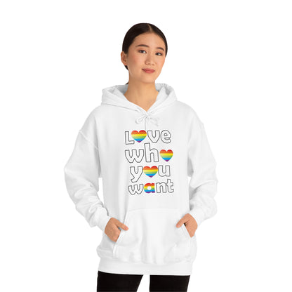 Love who you want Hoodie