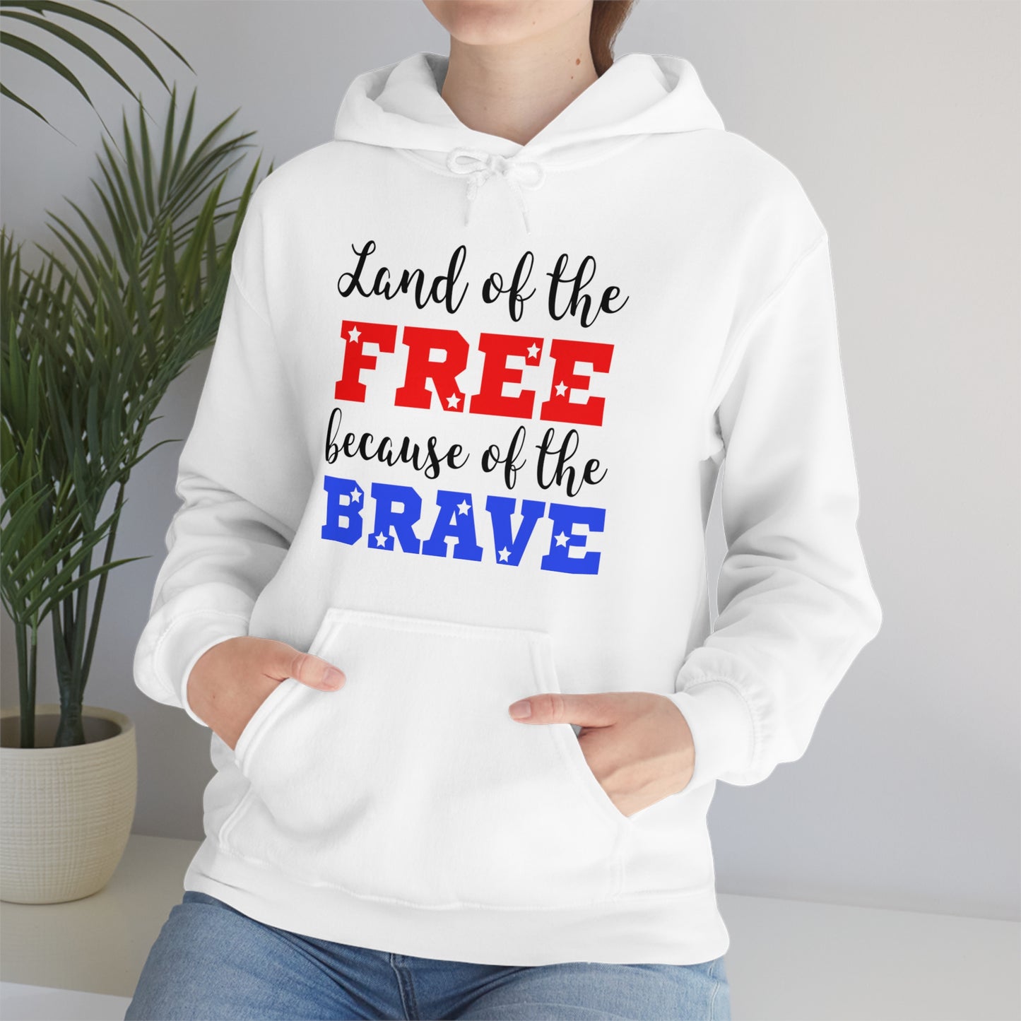 U.S.A. the Land of the free Hoodie