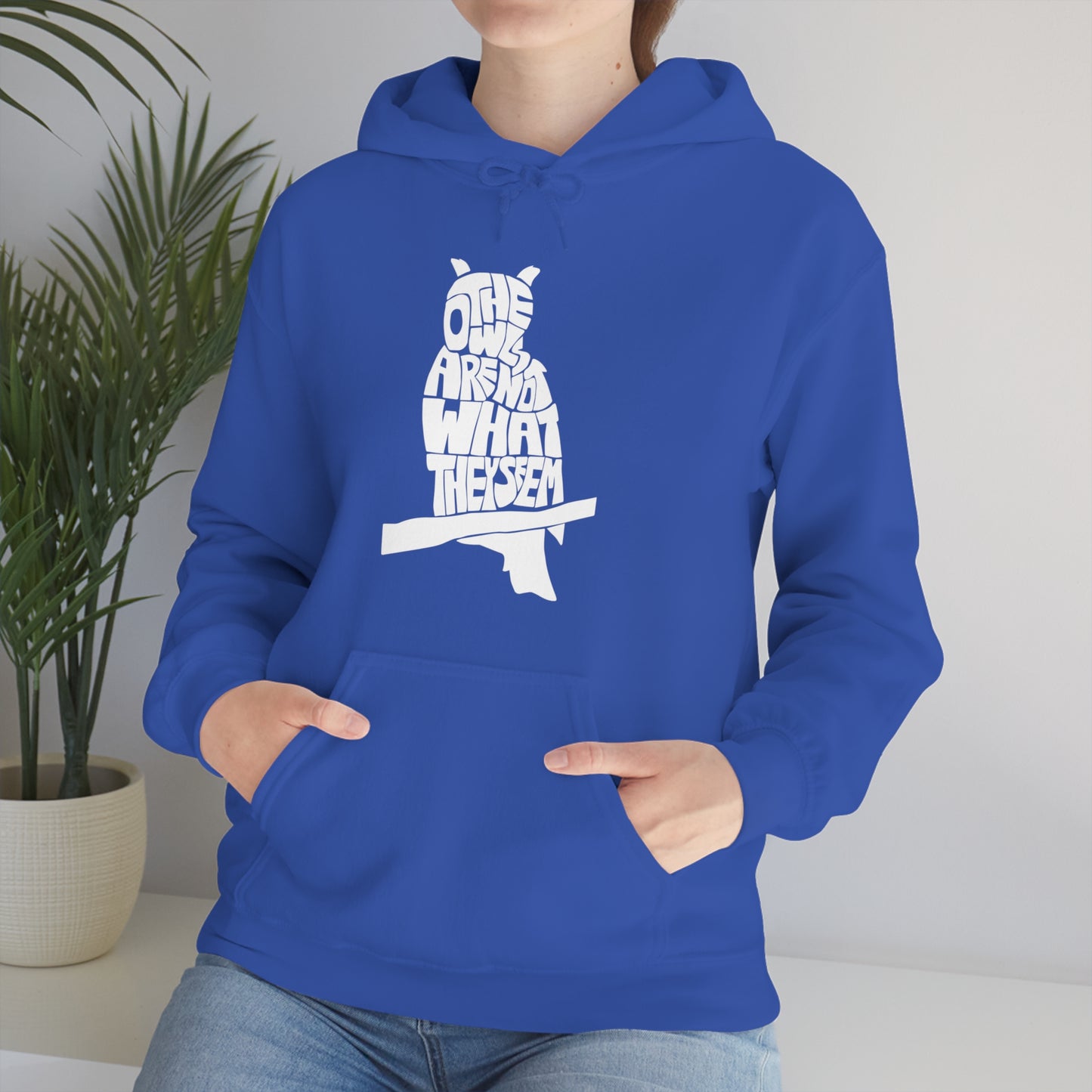 The Owls Are Not What They Seem Hoodie