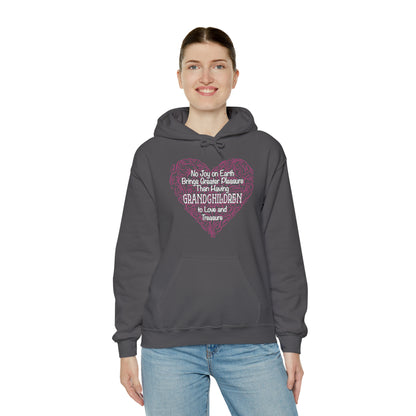 Grandchildren are a great pleasure Hoodie