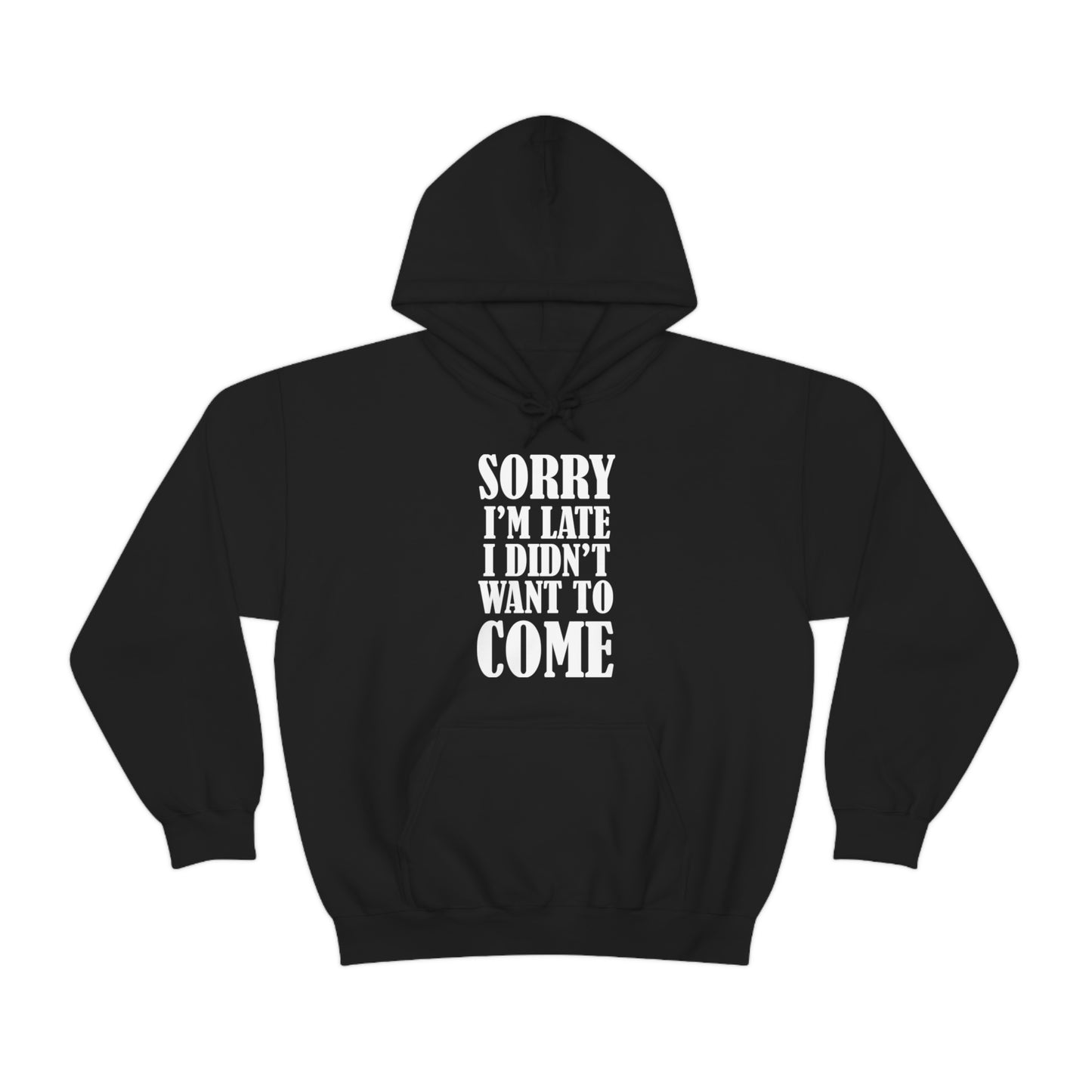 Sorry I'm late Hoodie