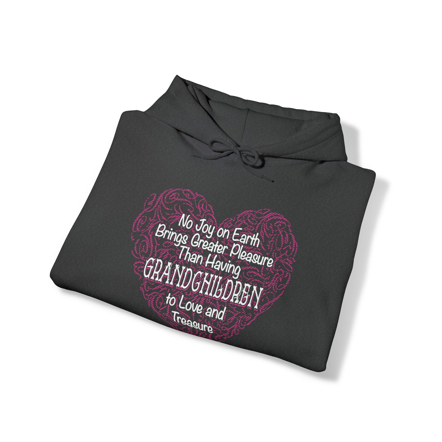 Grandchildren are a great pleasure Hoodie