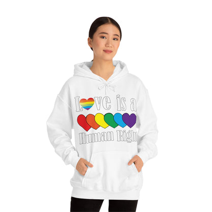 Love is a Human right Hoodie