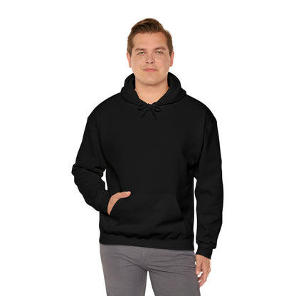 Dolphins definition Hoodie