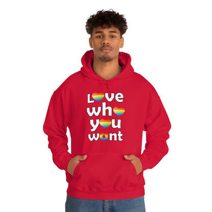 Love who you want Hoodie