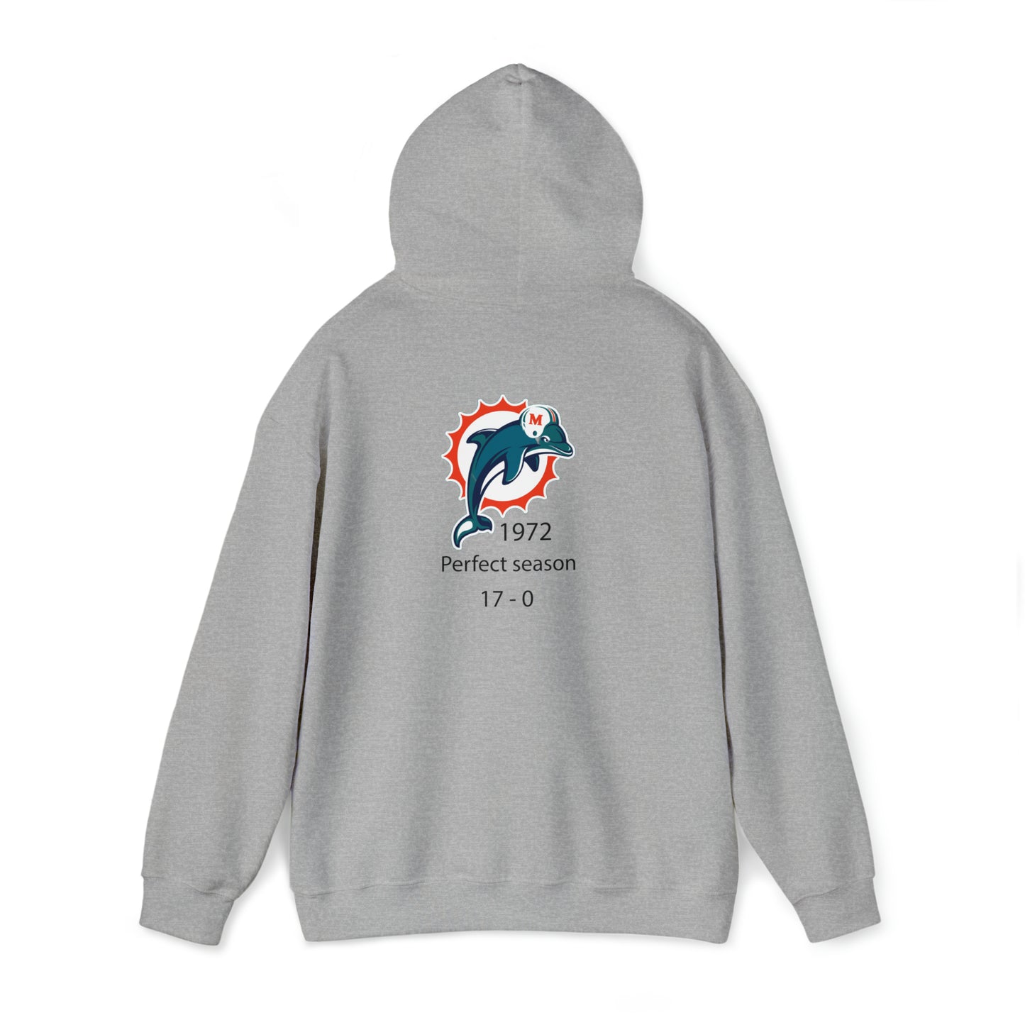 Dolphins definition Hoodie