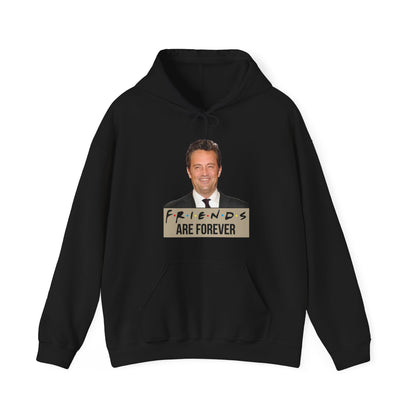 Friends are forever Hoodie