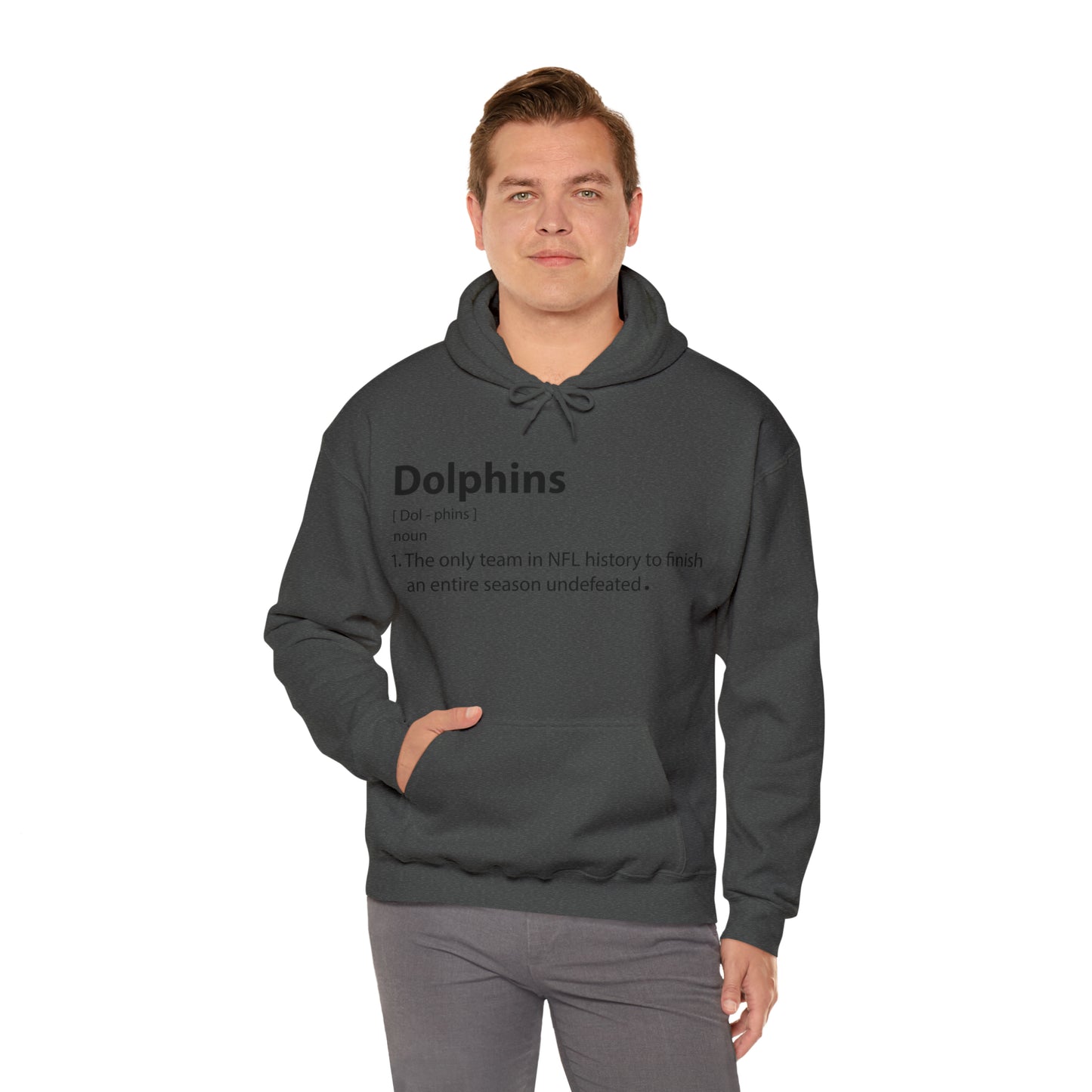 Dolphins definition Hoodie