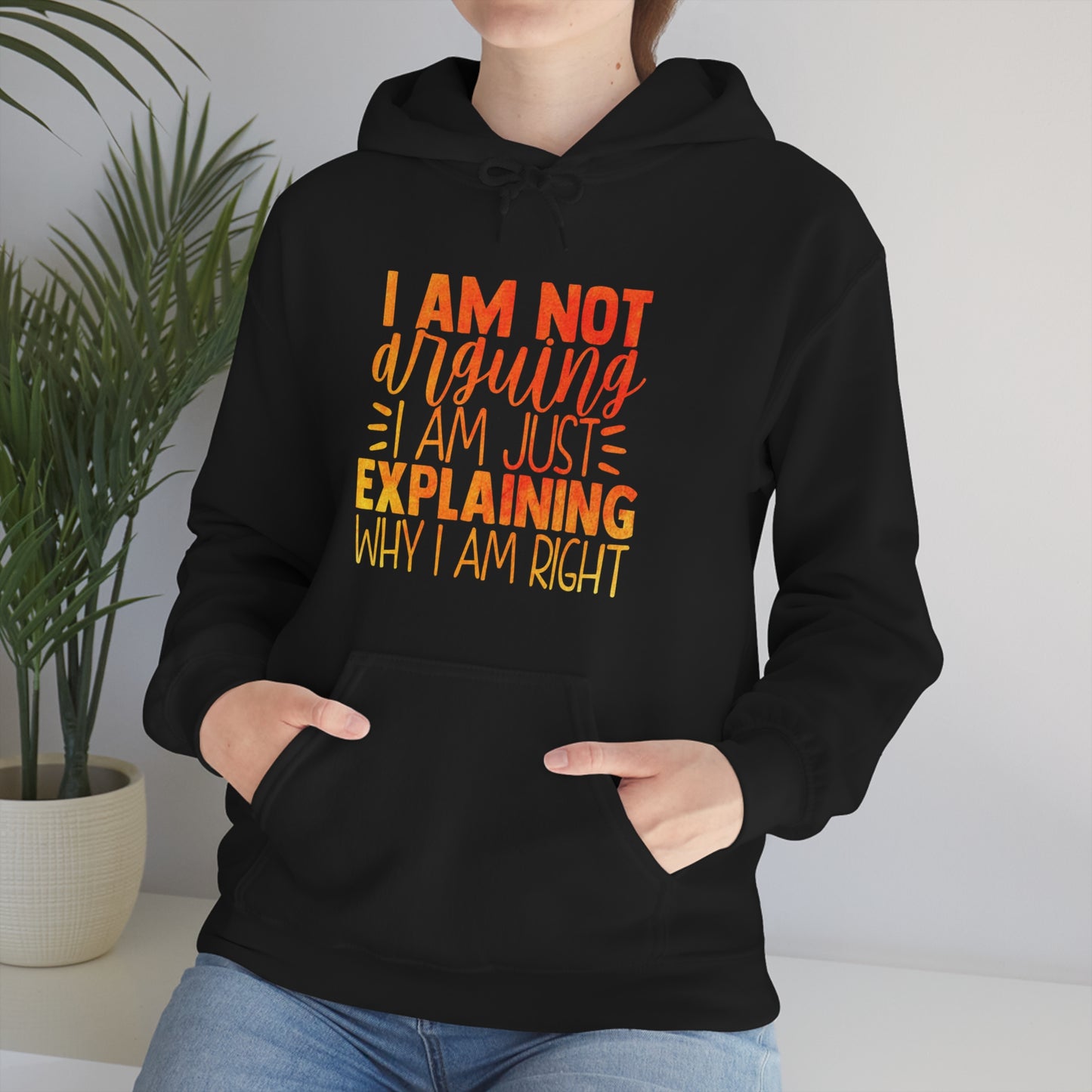 I Am Not Arguing I Am Just Explaining Why I Am Right Hoodie