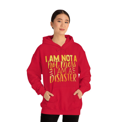 I Am Not A Hot Mess I Am A Disaster Hoodie