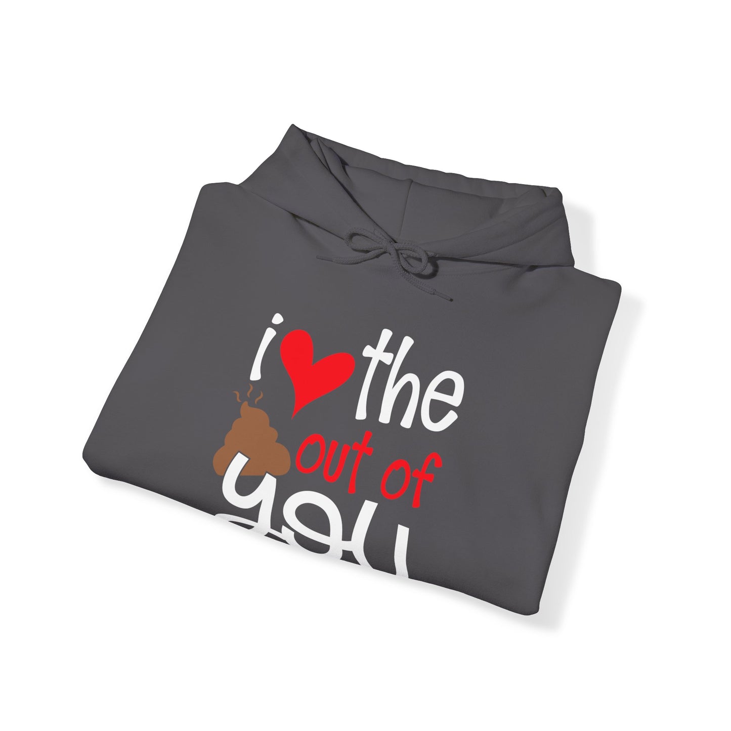 Love the Sxxx out of you Hoodie