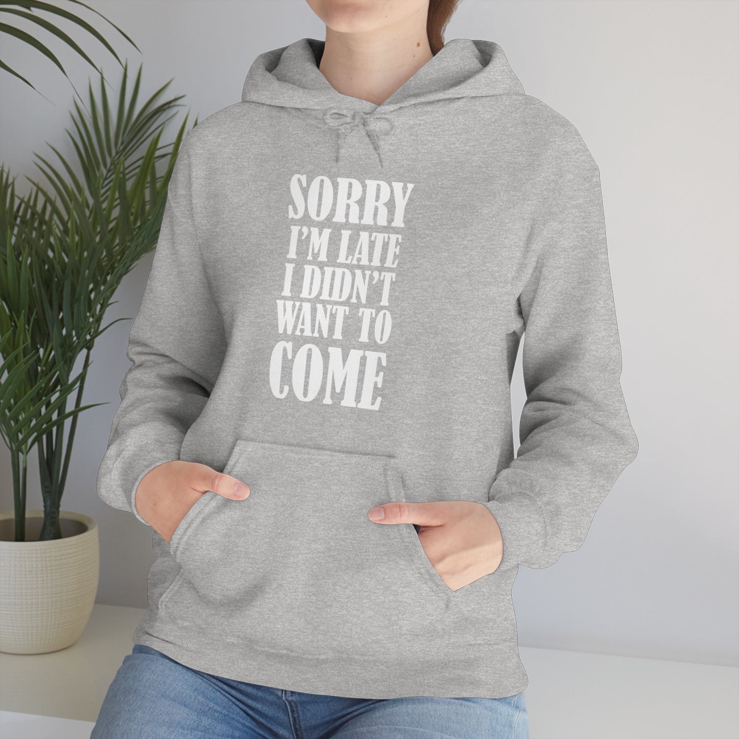 Sorry I'm late Hoodie